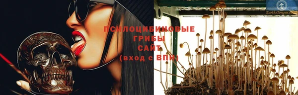 эйфоретик Армянск